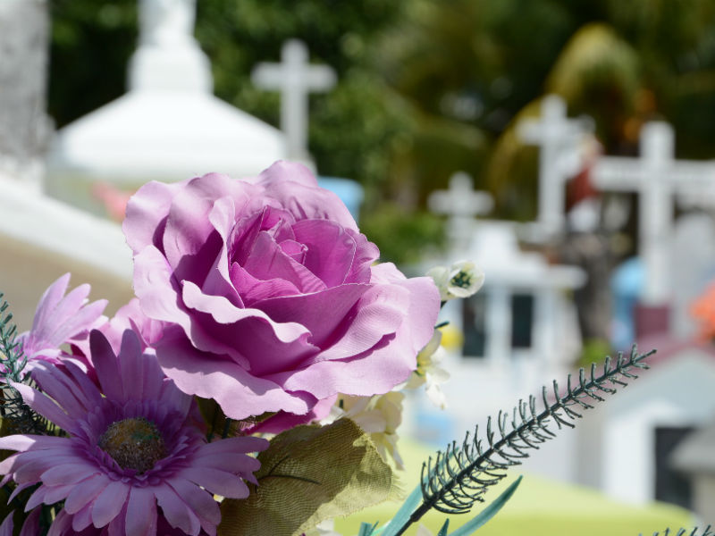 Funeral Flower Etiquette Funeral Guide